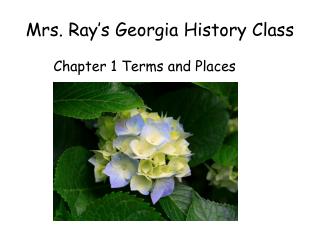 Mrs. Ray’s Georgia History Class