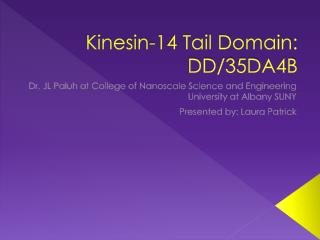 Kinesin-14 Tail Domain: DD/35DA4B