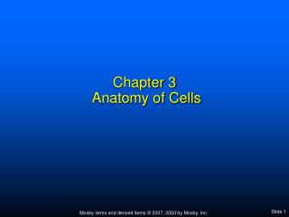 Chapter 3 Anatomy of Cells