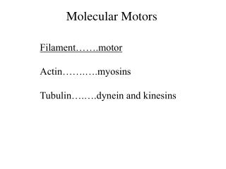 PPT - Molecular motors PowerPoint Presentation - ID:3491433