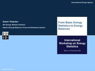 International Workshop on Energy Statistics Mexico, 2-5 December 2008