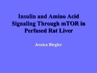 Insulin and Amino Acid Signaling Through mTOR in Perfused Rat Liver