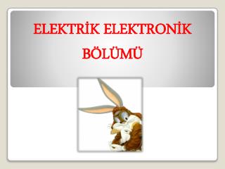 ELEKTRİK ELEKTRONİK BÖLÜMÜ