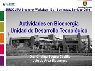Actividades en Bioenergía Unidad de Desarrollo Tecnológico