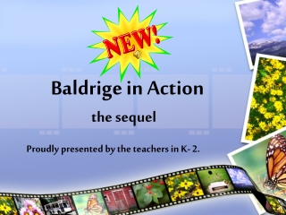 Baldrige in Action