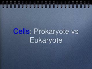 Cells : Prokaryote vs Eukaryote