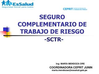 SEGURO COMPLEMENTARIO DE TRABAJO DE RIESGO