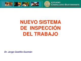 NUEVO SISTEMA DE INSPECCIÓN DEL TRABAJO