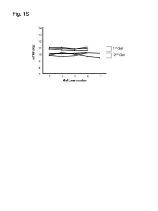 mTRF (Kb)