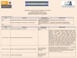 VI. Agenda de trabajo