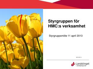 Styrgruppen för HMC:s verksamhet
