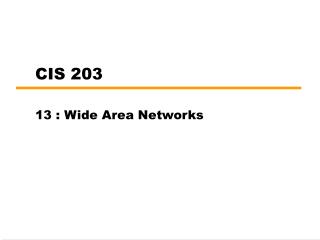 CIS 203