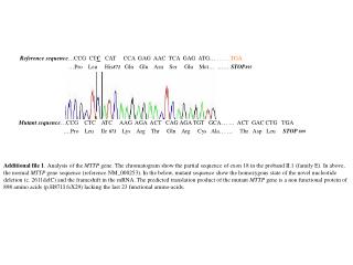 Mutant sequence …CCG CTC ATC AAG AGA ACT CAG AGA TGT GCA… … ACT GAC CTG TGA