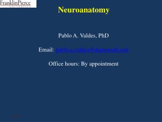 Neuroanatomy