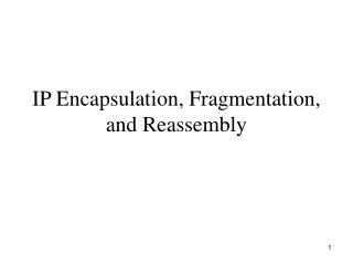 IP Encapsulation, Fragmentation, and Reassembly