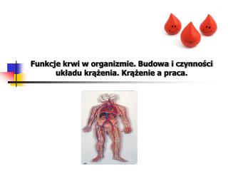Funkcje krwi w organizmie. Budowa i czynności układu krążenia. Krążenie a praca.