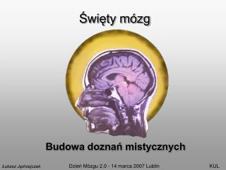 Święty mózg