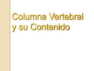 Columna Vertebral y su Contenido