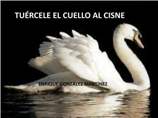 TUÉRCELE EL CUELLO AL CISNE . . .