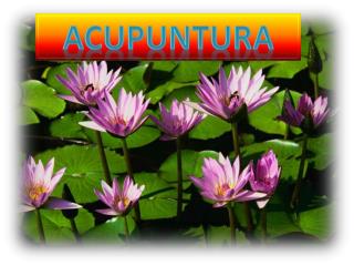 ACUPUNTURA