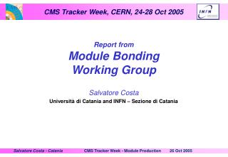 Report from Module Bonding Working Group