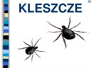 KLESZCZE