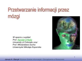 P rzetwarzanie informacji przez mózgi