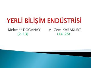 YERLİ BİLİŞİM ENDÜSTRİSİ