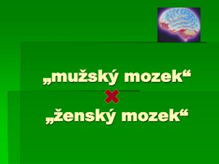 „mužský mozek“ „ženský mozek“