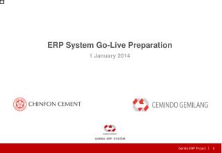 ERP System Go-Live Preparation