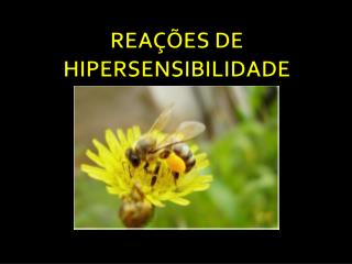 REAÇÕES DE HIPERSENSIBILIDADE