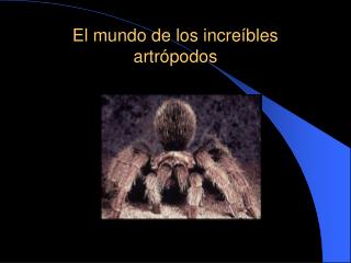 El mundo de los increíbles artrópodos