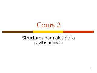 Cours 2