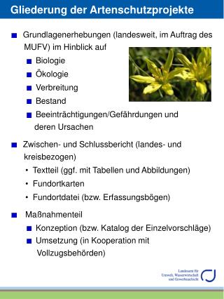 Grundlagenerhebungen (landesweit, im Auftrag des MUFV) im Hinblick auf Biologie