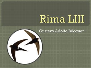 Rima LIII