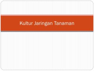 Kultur Jaringan Tanaman