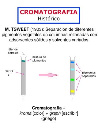 CROMATOGRAFIA Histórico