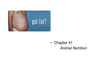 Chapter 41 Animal Nutrition