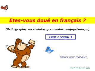 (Orthographe, vocabulaire, grammaire, conjugaisons,…)