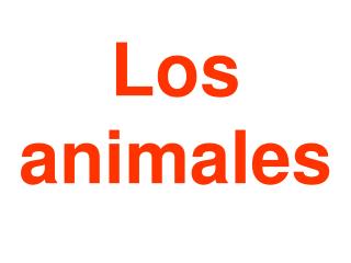 Los animales