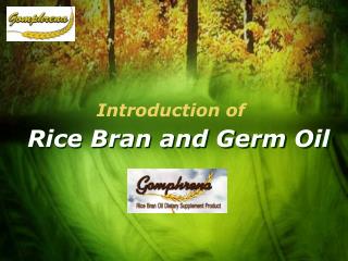 Rice Bran and Germ Oil