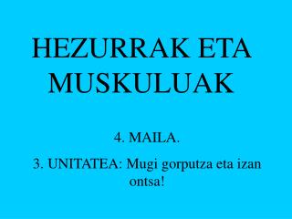 HEZURRAK ETA MUSKULUAK