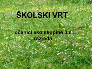 ŠKOLSKI VRT