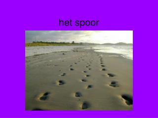 het spoor