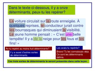 Dans le texte ci-dessous, il y a onze déterminants, peux-tu les repérer?