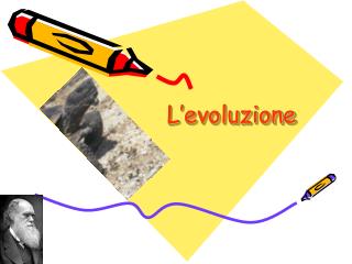 L’evoluzione