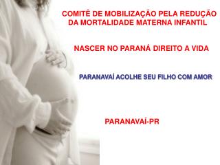 COMITÊ DE MOBILIZAÇÃO PELA REDUÇÃO DA MORTALIDADE MATERNA INFANTIL