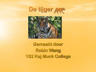 De tijger