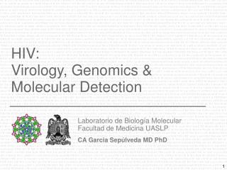 HIV: Virology, Genomics &amp; Molecular Detection