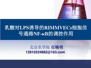 嗜酸乳杆菌代谢产物乳酸对体外培养 MIMVECsLPS 模型信号通路调控作用的研究
